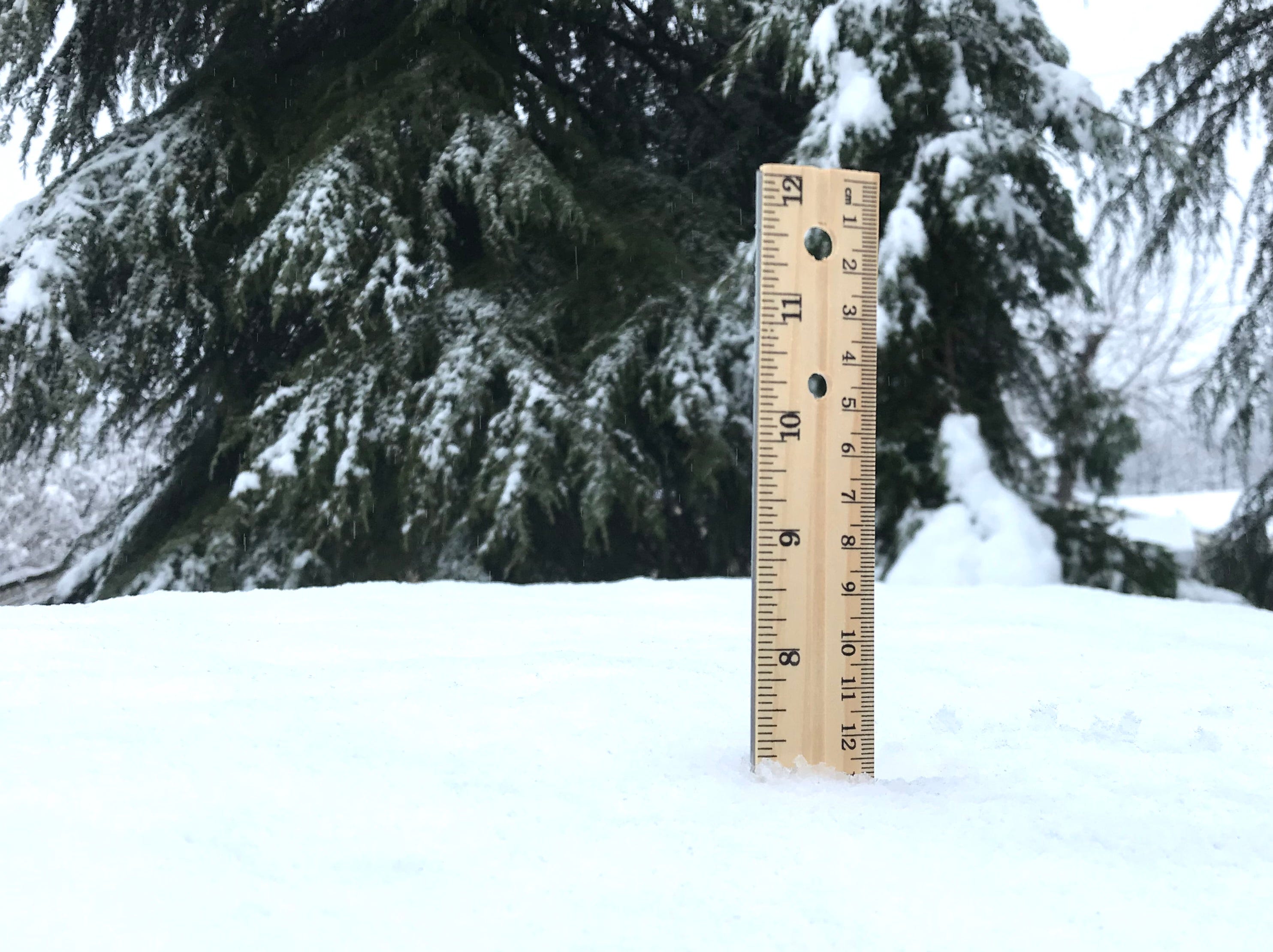 La medida de la nieve caída